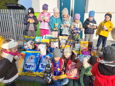 2024/10 Dzień Kundelka dla Schroniska