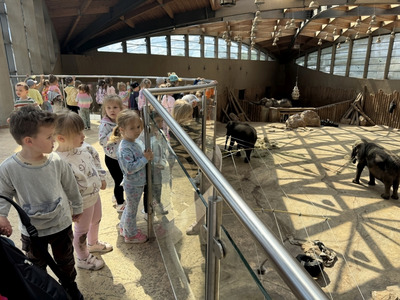 2025/06 Wycieczka do Zoo - Dzień Dziecka